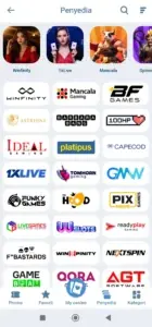 providers